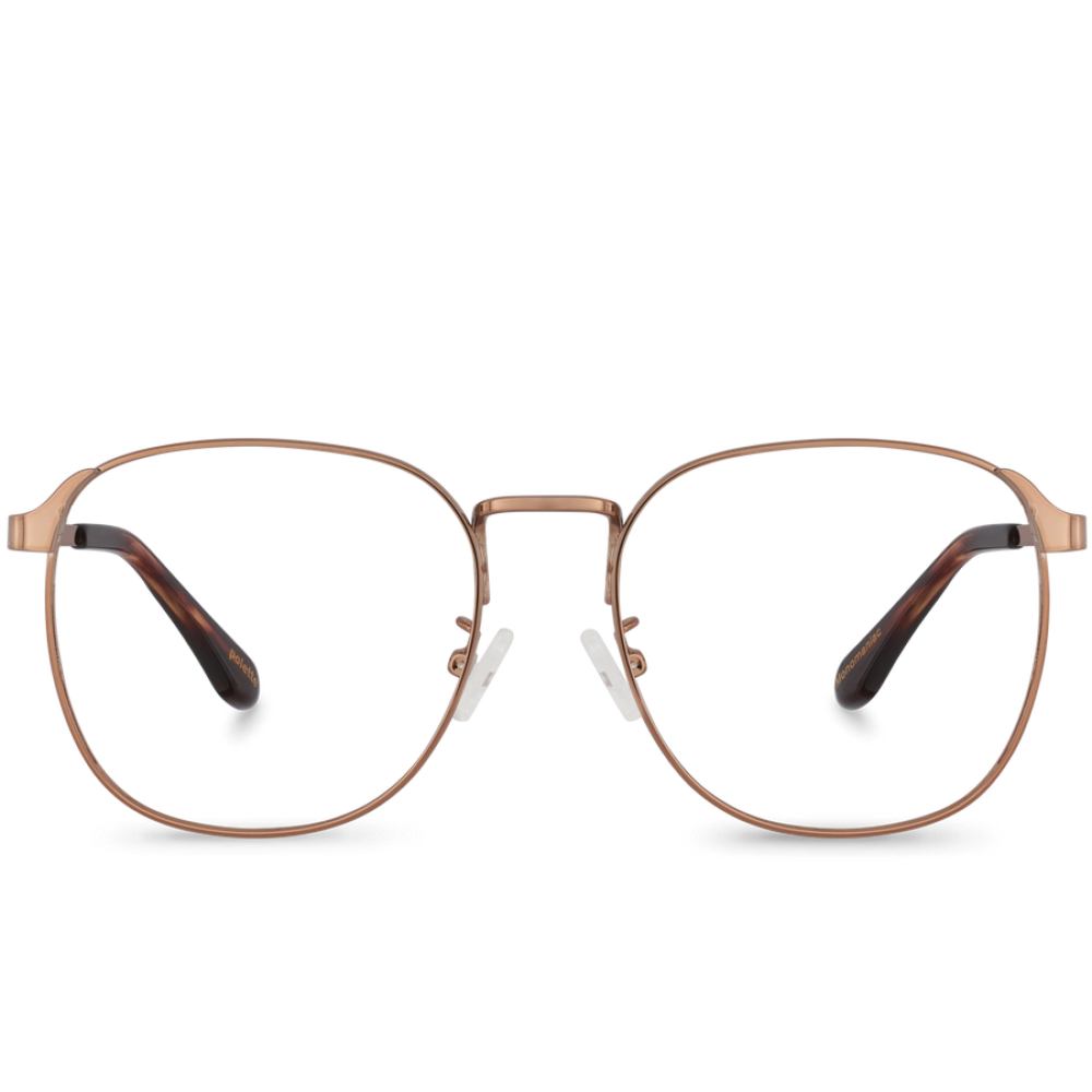 Monomaniac Bronze
